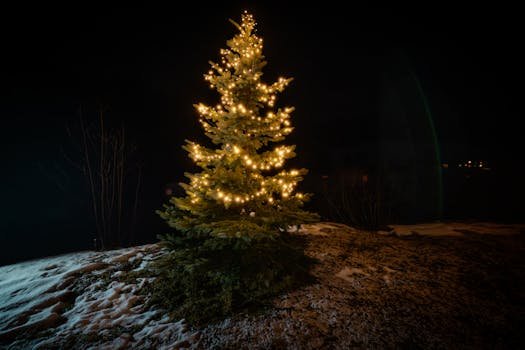 A beautifully illuminated Christmas tree on a snowy night in Gscheid, Austria, creating a festive winter ambiance.